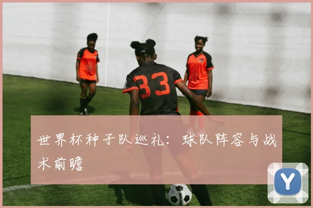 世界杯种子队巡礼:球队阵容与战术前瞻