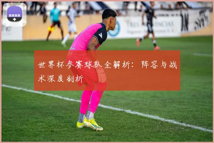 世界杯参赛球队全解析:阵容与战术深度剖析