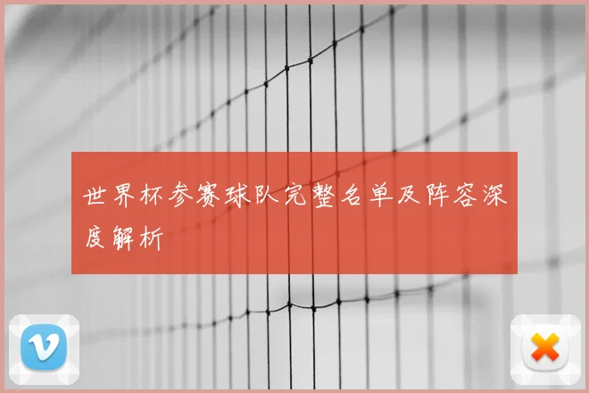 世界杯参赛球队完整名单及阵容深度解析