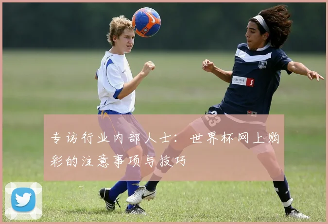 专访行业内部人士:世界杯网上购彩的注意事项与技巧