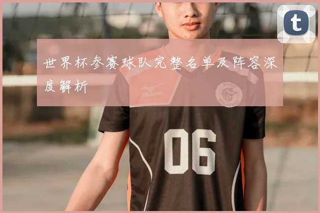 世界杯参赛球队完整名单及阵容深度解析