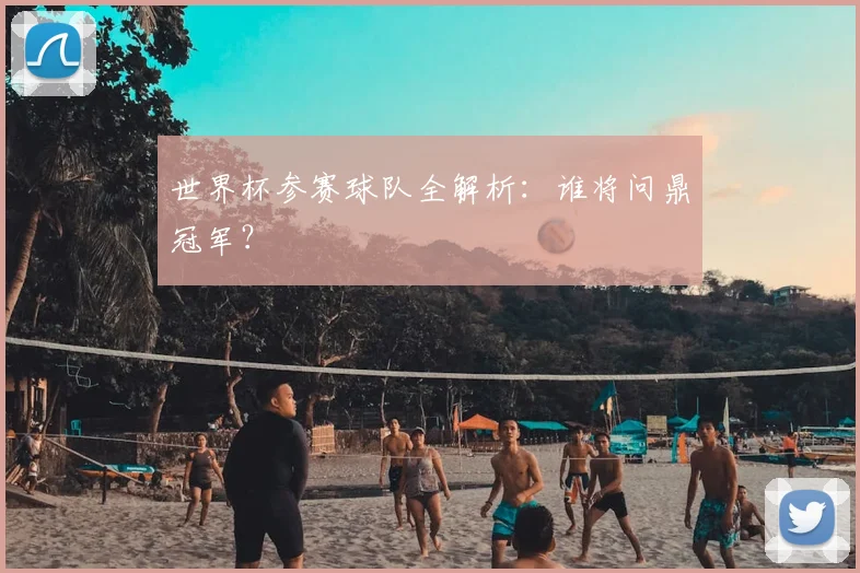 世界杯参赛球队全解析:谁将问鼎冠军?