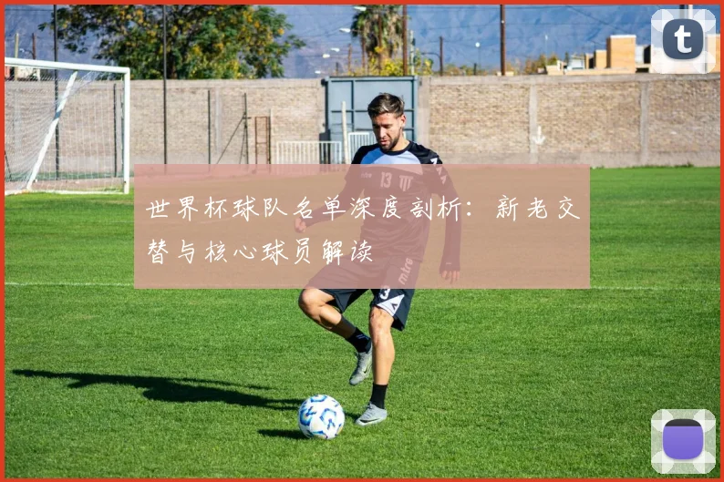 世界杯球队名单深度剖析:新老交替与核心球员解读