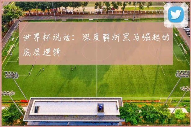 世界杯说话:深度解析黑马崛起的底层逻辑
