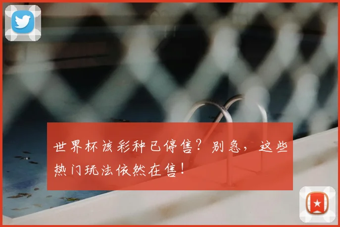 世界杯该彩种已停售?别急,这些热门玩法依然在售!