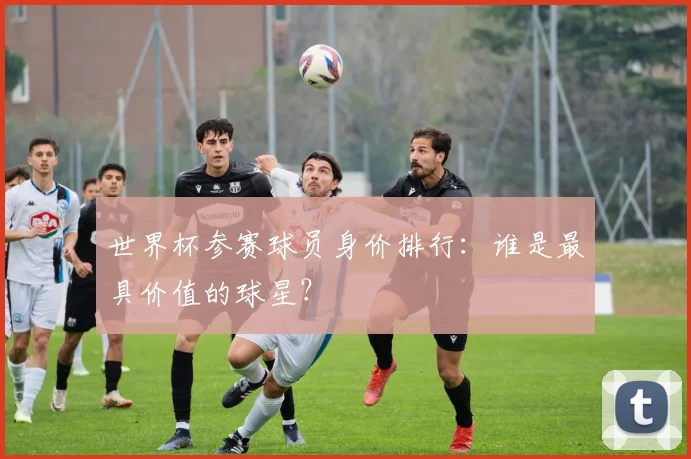 世界杯参赛球员身价排行：谁是最具价值的球星？
